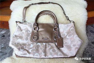 十大奢侈品包包排名及圖標(biāo)志