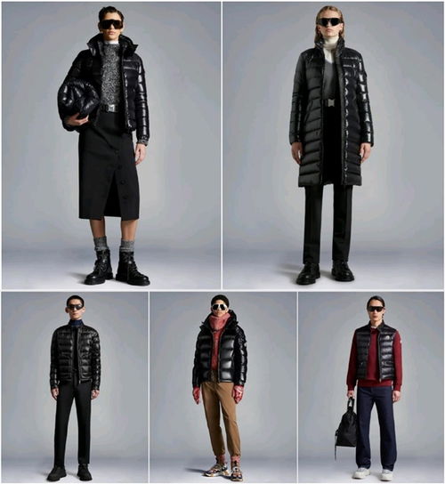 高奢服飾品牌盟可睞moncler全面入駐京東 首發(fā)新品520系列